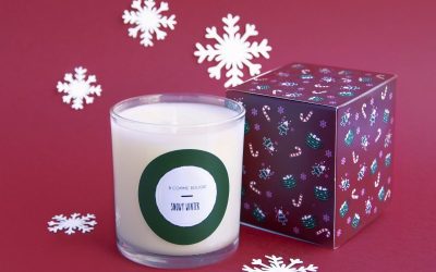 Bougie parfumée Snowy Winter cannelle clou de girofle cadeau bougies aux épices de Noël