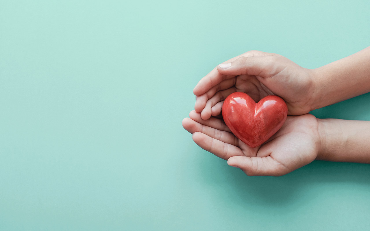 hands holding red heart, health care, love, organ donation, well