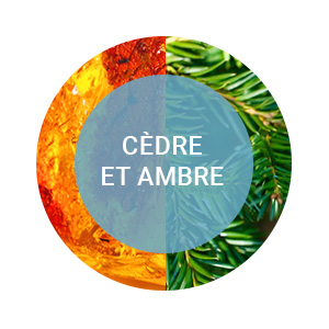 Parfum de Cèdre et Ambre